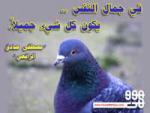 welcome to my blog